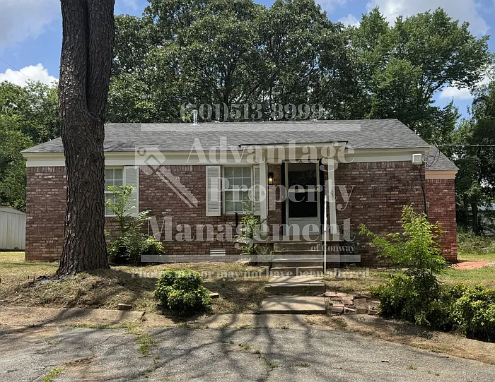 1519 Phyllis St — Photo 1