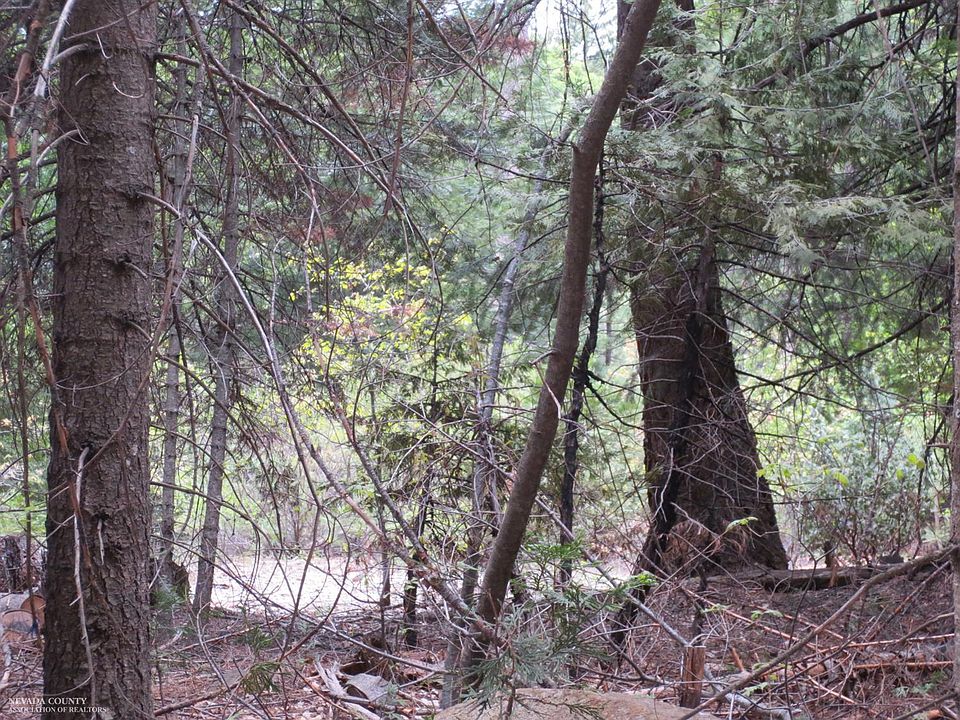 2nd image of 15951 Ophir Silver Rd
