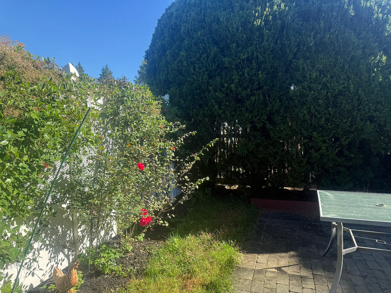 Maple St, Dobbs Ferry — Photo 3