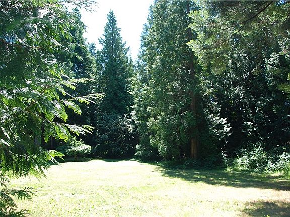 3rd image of 0 Great Horned Owl Lane