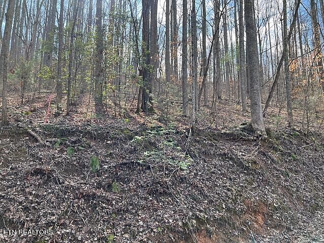 1st image of 0 Grey Fox Run Lot 3