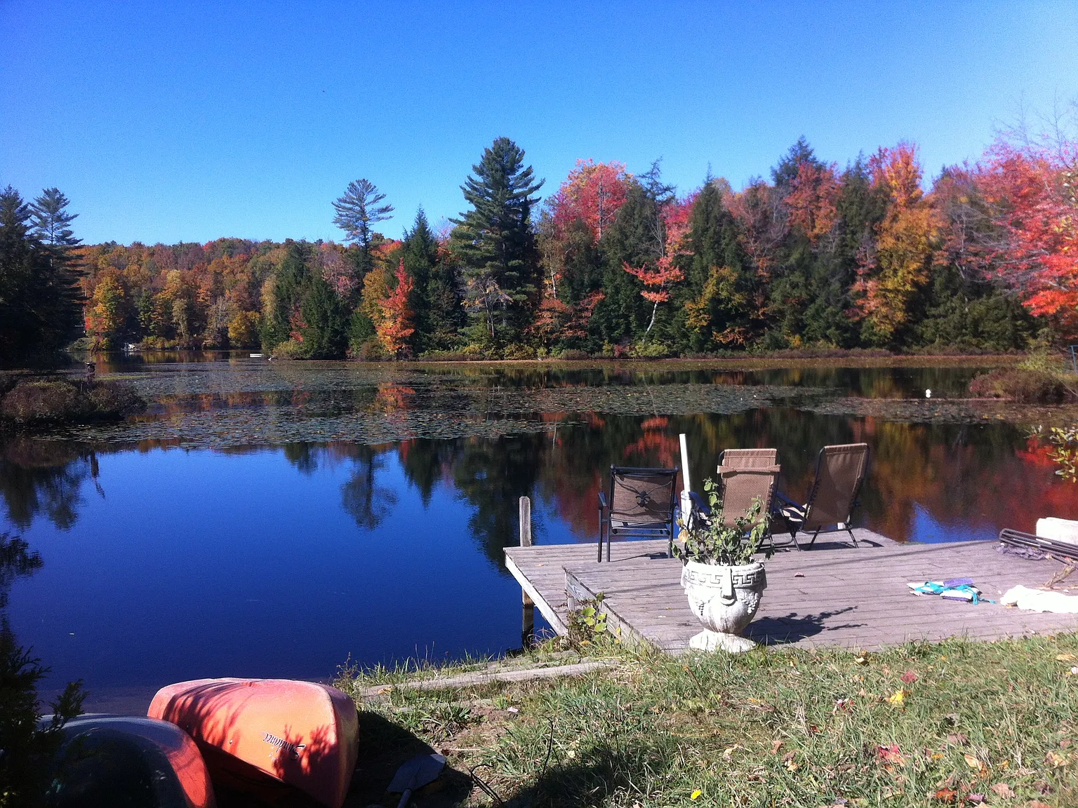 1 bed, 1300 sqft, $1,400 — Photo 4