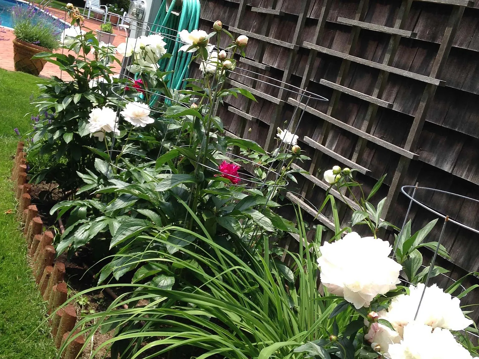 Perfect Wainscott Cottage - 3 Weeks August — Photo 4