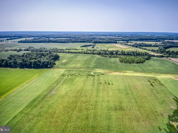 13693 Newbys Shop Rd, Elkwood, VA 22718
