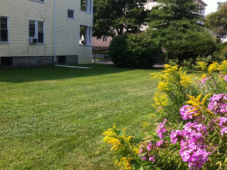 Large Fenced Yard