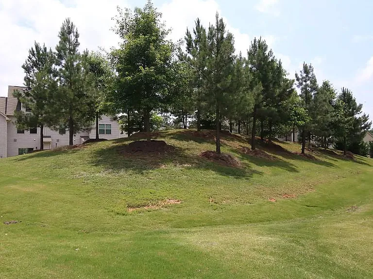 217 Mount Evans Dr — Photo 19