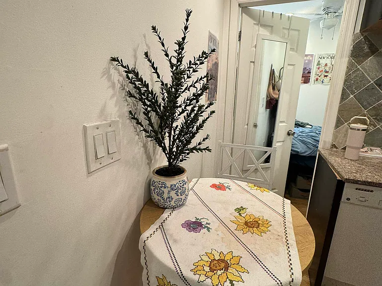 57 Clinton St #3A — Photo 7