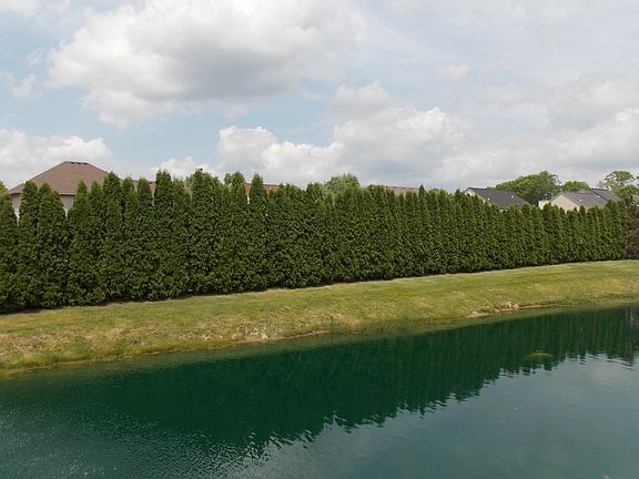 5th image of 1758 Pine Forest Dr #1