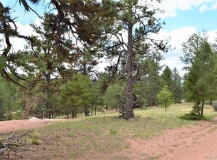 698 Pinewood Rd, Florissant, CO 80816