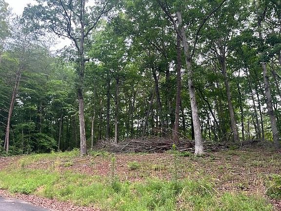 4th image of 119 Hidden Hollow Cir
