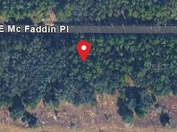 389 E McFaddin Pl, Citrus Springs, FL 34434