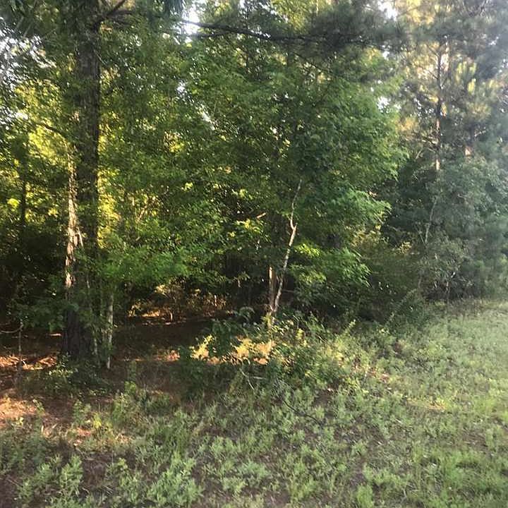2nd image of 0 Taylor Dr