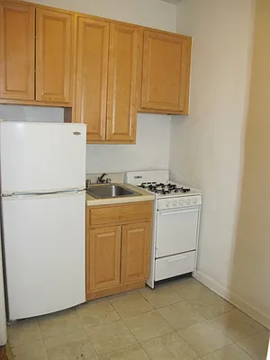 Rented by Manhattan Flats | media 13