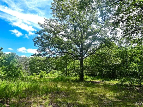 5760 NE 817 Private Rd, Osceola, MO 64776