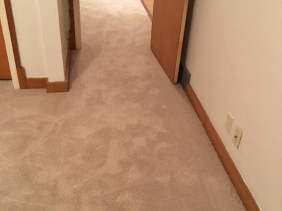 5th image of 1207 E St APT 1