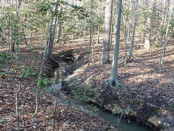 Creek on property