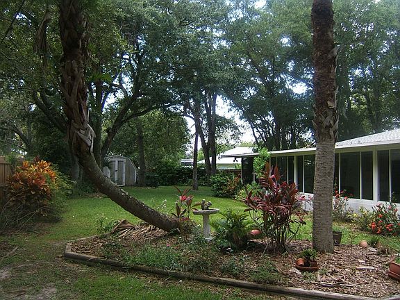 Back Area View of Expansive Yard
