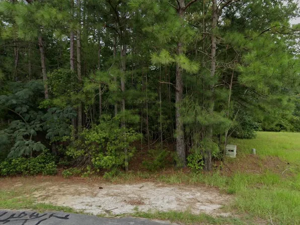 325 Farina Dr, Havelock, NC 28532
