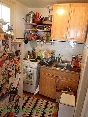 Rented by Brooklyn Real Estate Services | media 9