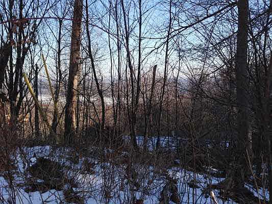 3rd image of 67 Timberline Trl