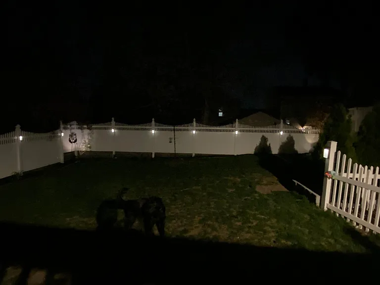 24 Evelyn Pl — Photo 4
