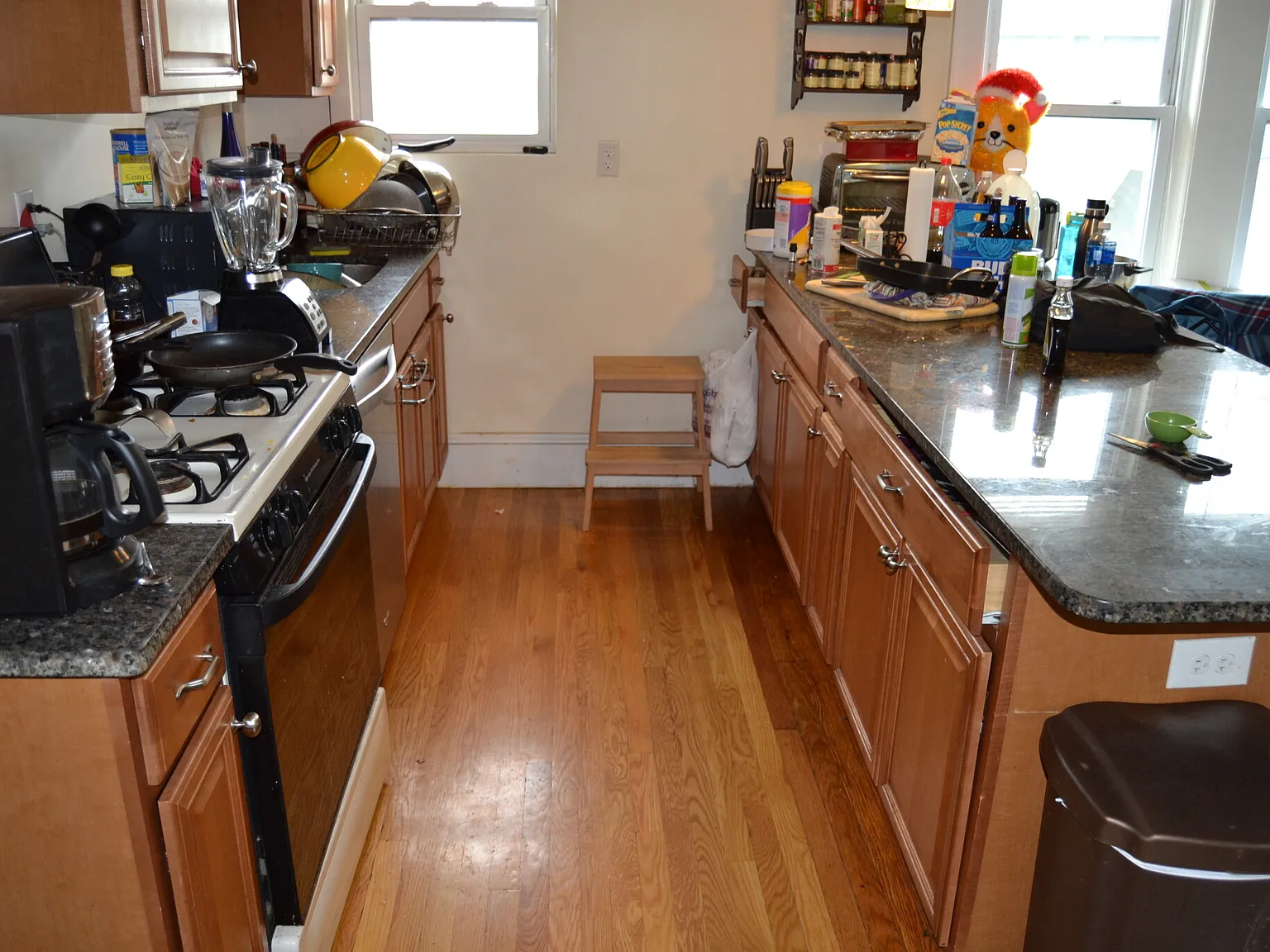 4 bed, 2.0 bath, $4,200 — Photo 3