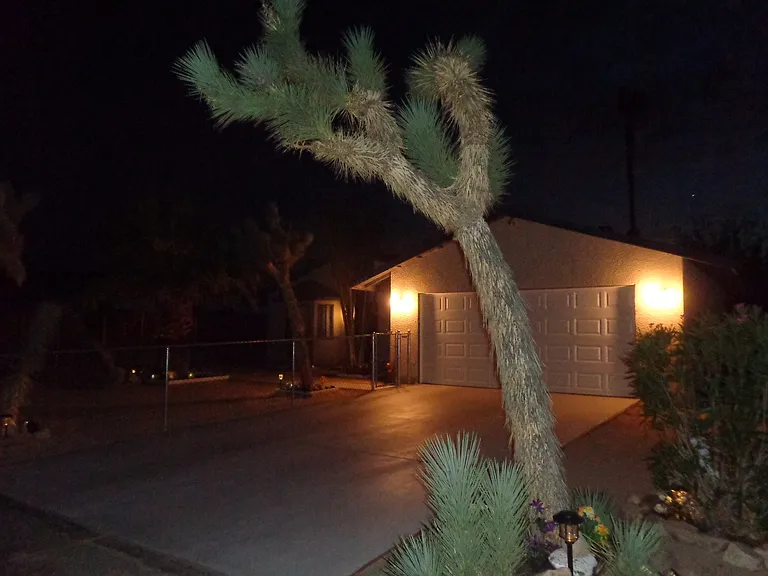5984 La Buena Tierra Ave — Photo 66