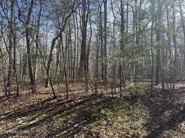0 N Laurel Loop Lot 29, Monterey, TN 38574