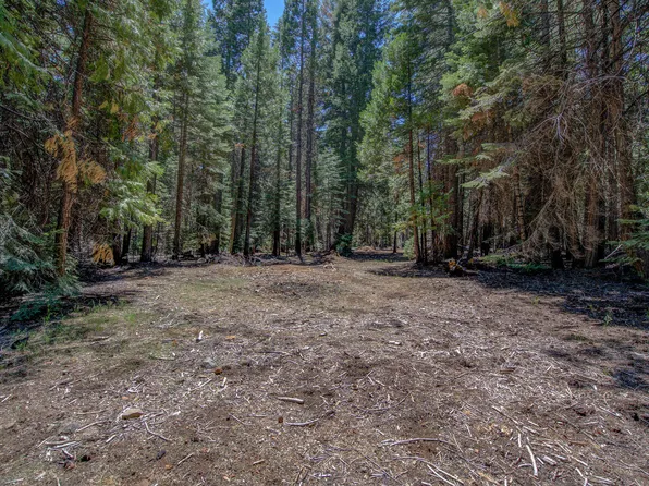LOT 9 Emigrant Trl, Shingletown, CA 96088