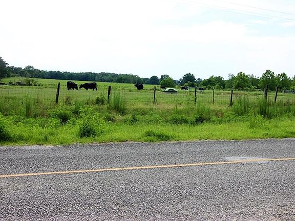 3rd image of 1559 County Road 67