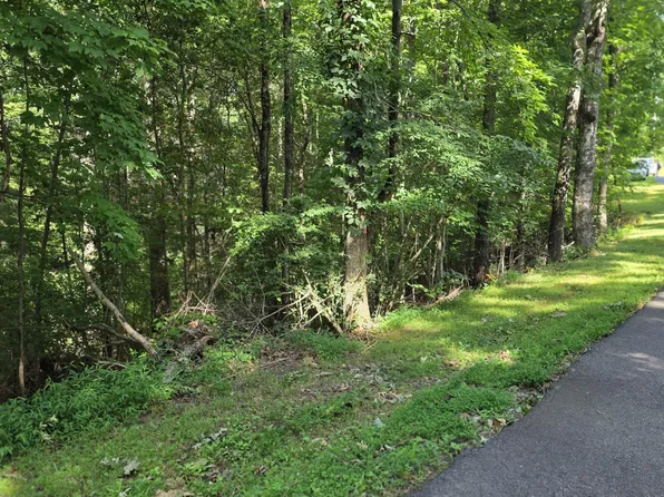 Lot 9 Peachtree Hills Lane LOT 9, Murphy, NC 28906