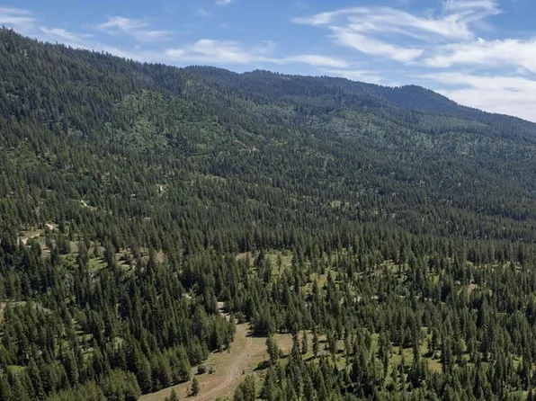 23 Clear Creek Rd, Cascade, ID 83611