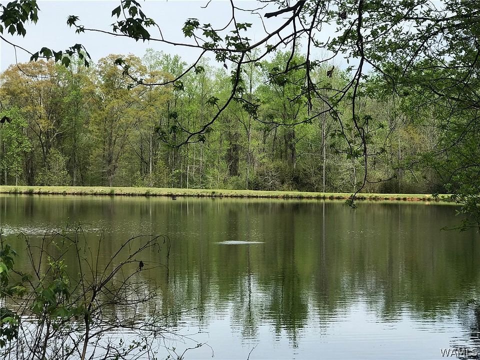 2nd image of 0 Hunter Creek Rd