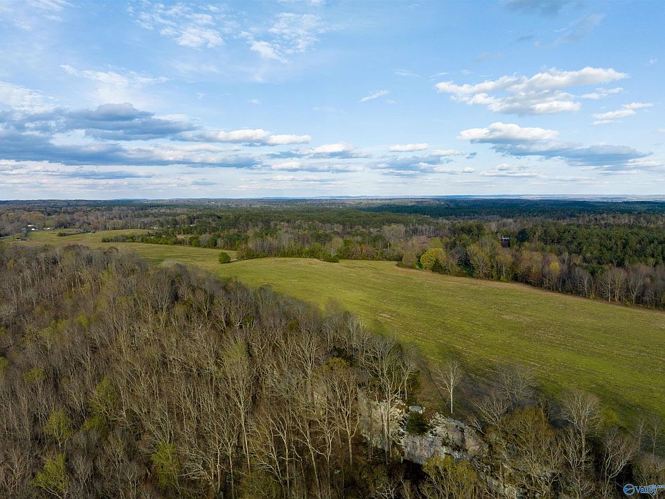 1 5300 County Rd #81, Flat Rock, AL 35966 | Zillow