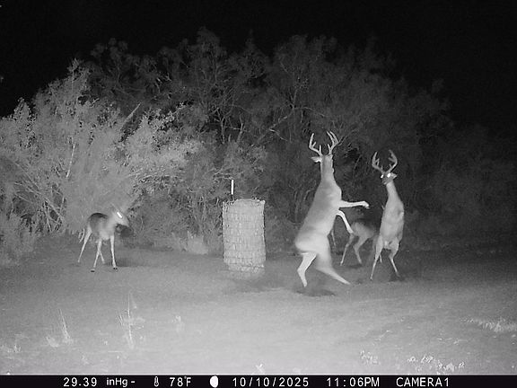 2nd image of 3073 Bravo 6 Rd