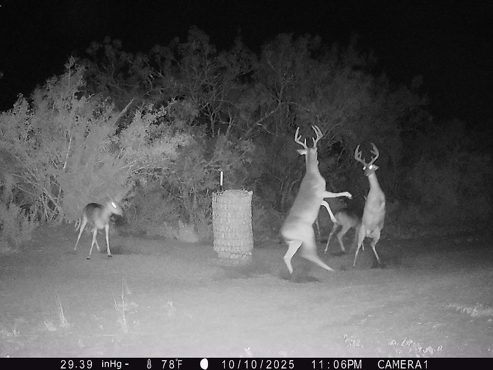 1st image of 3073 Bravo 6 Rd