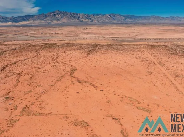 Chiricahua Ln, Animas, NM 88020