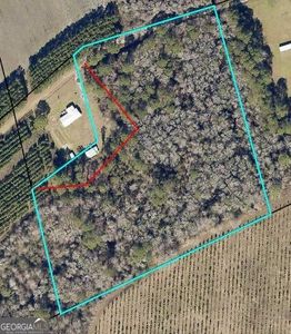 0 Little Dirt Ln, Claxton, GA, 30417