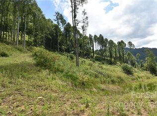 Land Off Turkey Creek Rd, Clyde, NC 28721