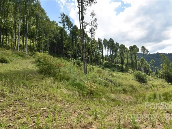 Land Off Turkey Creek Rd, Clyde, NC 28721