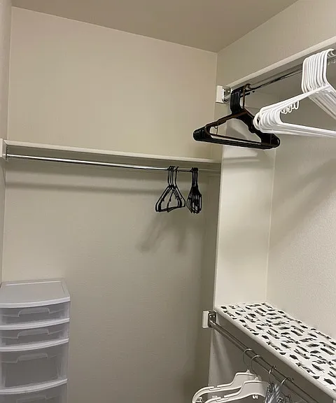 Master Closet 1