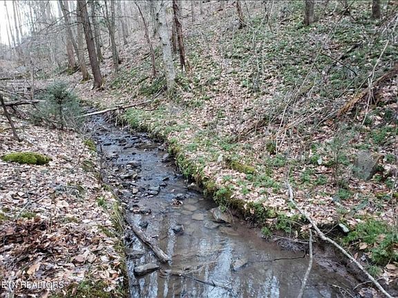 3rd image of Watson Hollow Rd