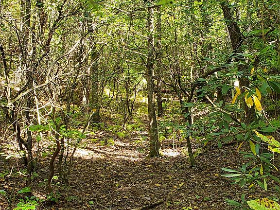 4th image of Alf Branch Dr