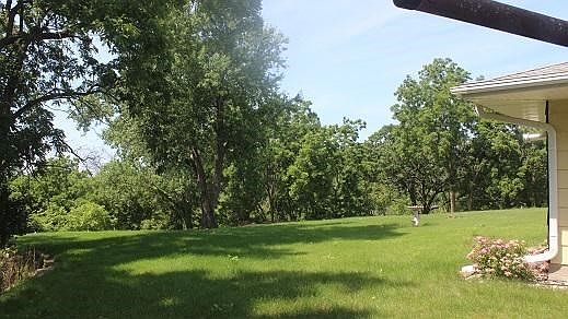 BACK YARD LT