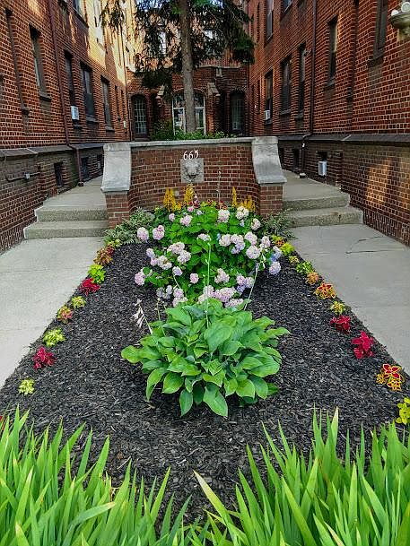 Garden Walkway