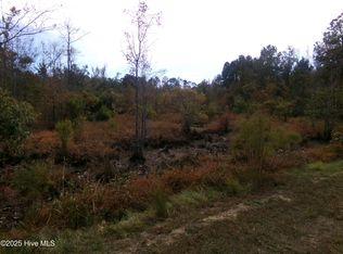 LOT 44964 Big Island Rd, White Oak, NC 28399