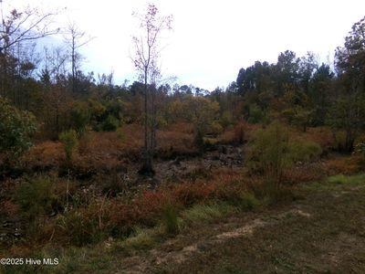 Lot  44964 Big Island Road, White Oak, NC, 28399