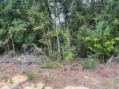 LOT 23 Geraldine Cir, Chipley, FL, 32428
