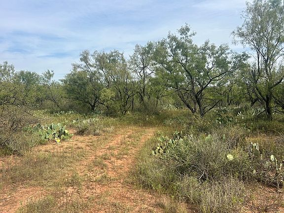 3rd image of Fm 2333