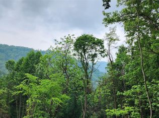 0 Poplar Cove Rd, Clyde, NC 28721